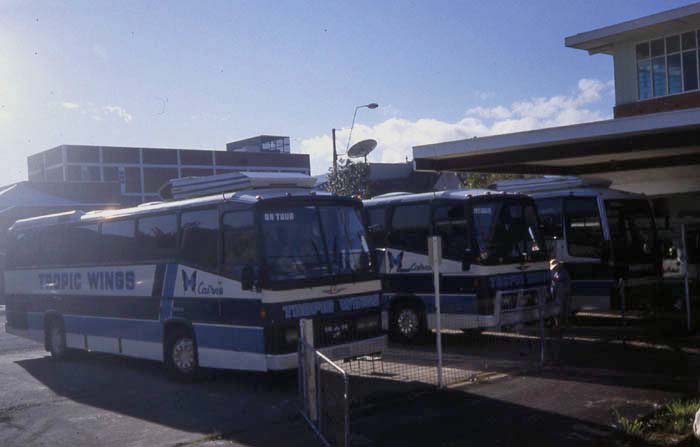 Tropic Wings in Cairns Coach Station